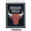 70102 JC Аппликация "Chicago Bulls" 