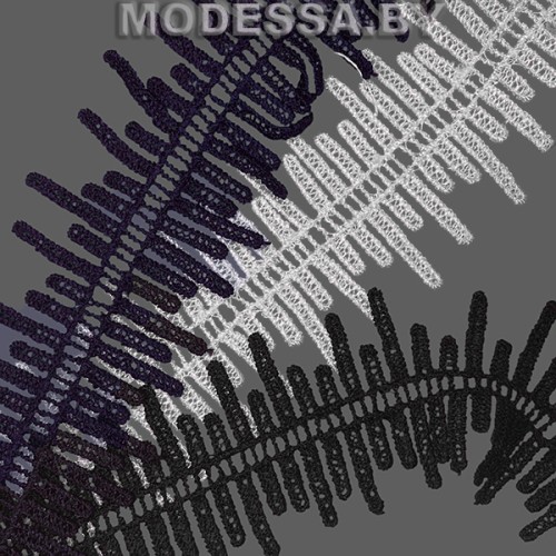 444 ZY Кружево синтетическое 50мм  