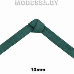 41247.6 Лента киперная 10мм Ц:034 Зелёный