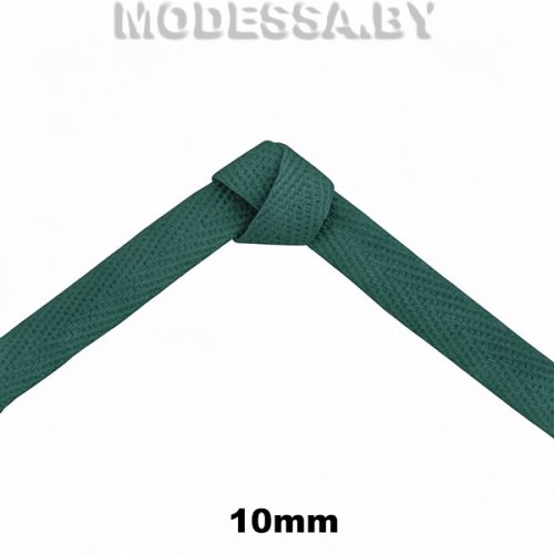 41247.6 Лента киперная 10мм Ц:034 Зелёный